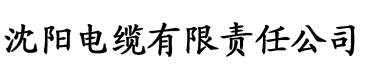 久久亚洲国产精品五月天婷电缆厂logo